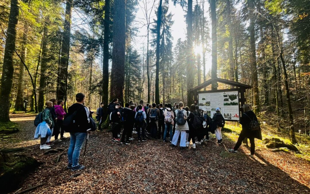 Terenska nastava šestih razreda – NP Risnjak